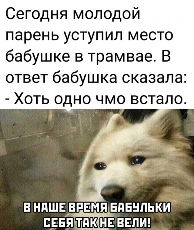 Так себе картинки 27.04.22