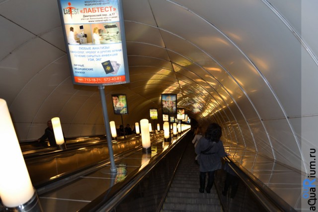 СПб глазами уставшего туриста...