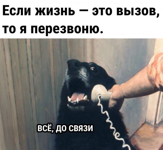 Немного картинок для настроения - 123