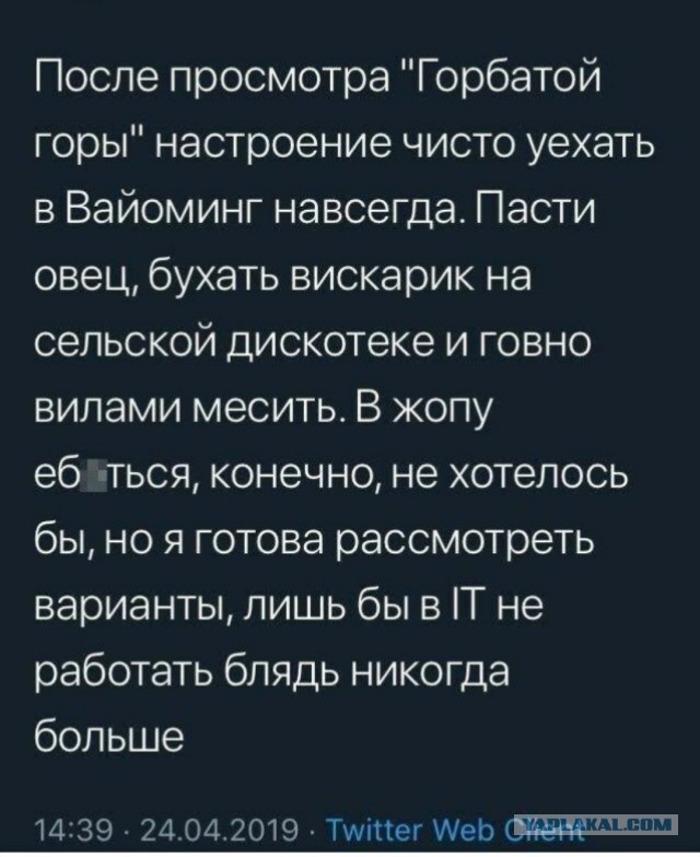 Войти в АйТи!  Осторожно, много мата!