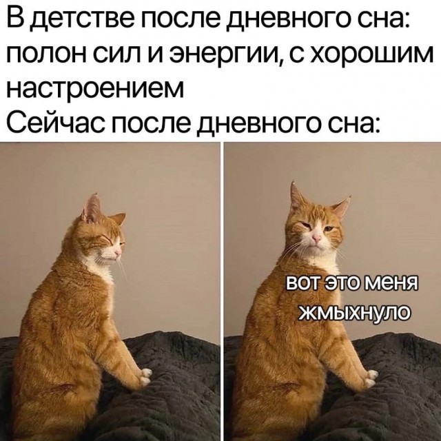 Юмор в картинках и без