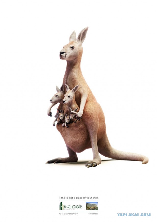 Оставьте свои заботы позади