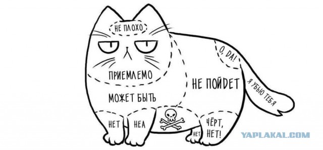 Пухляш недоволен