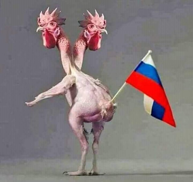 Почему на гербе Российской Федерации две головы, но три короны