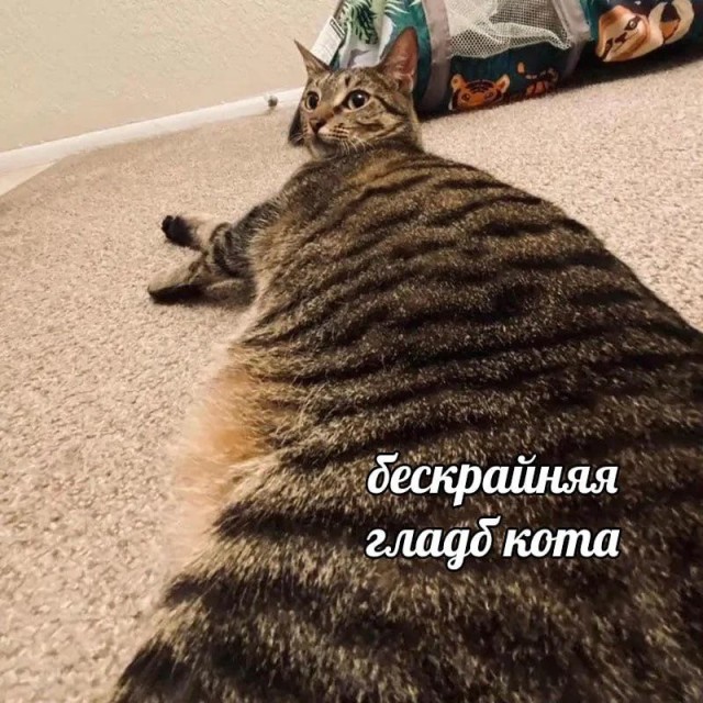 Так себе картинки 17.04.24