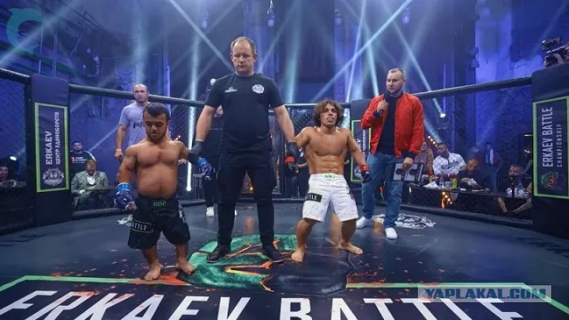 ВСУ разрушили мост через реку Сейм в Курской области
