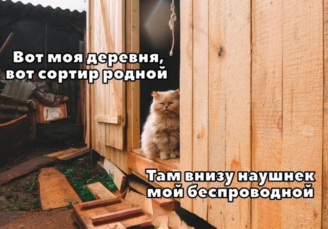 Завалялось тут случайно немного забавных картинок