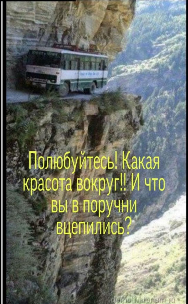 Прикольные и просто красивые картинки 08.11.2024