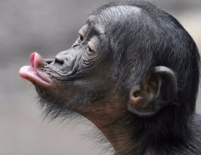 Что за трек?