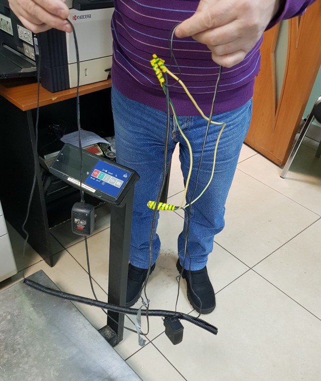 Карательная электрика