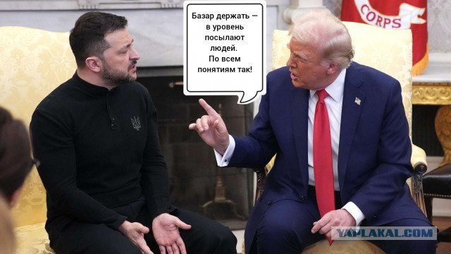 Илон Маск заинтересовался высказыванием зеленского