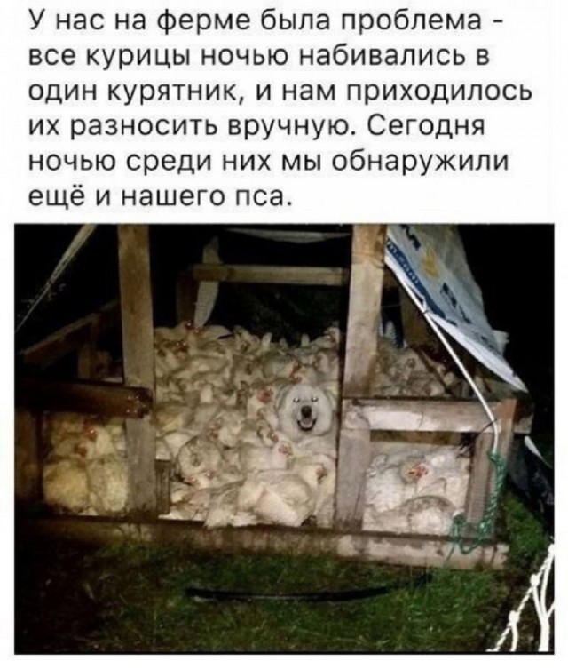 Так себе картинки 22.03.25
