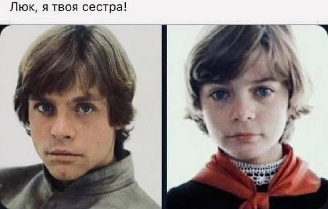 20244144.jpg