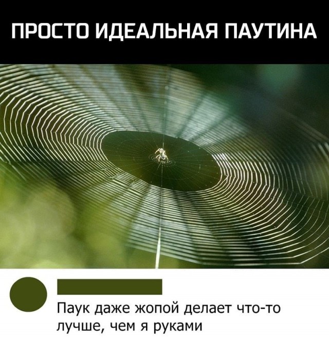 Веселые картинки в пятницу (25.07)