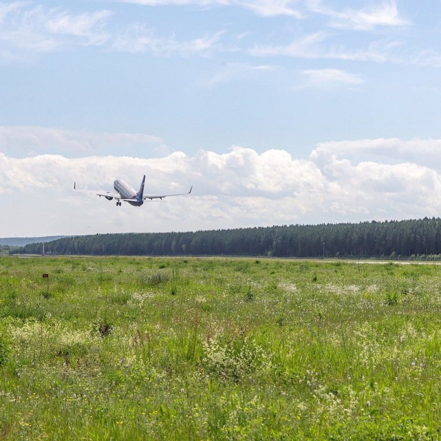 Красноярец собрал деньги на встречу с бывшими одноклассниками и улетел на них в Сочи