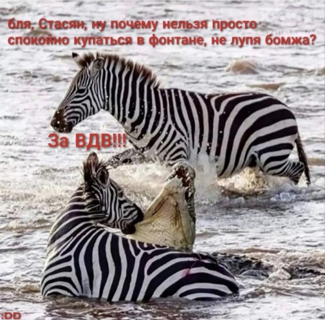 Так себе картинки 03.08.25