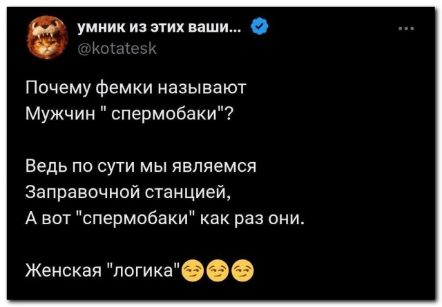 Фемская логика⁠