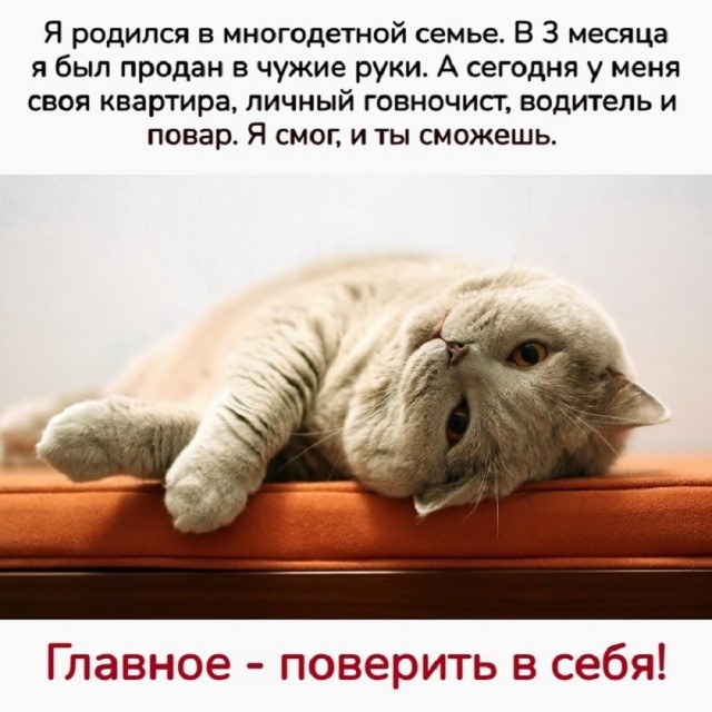 Так себе картинки 27.06.26