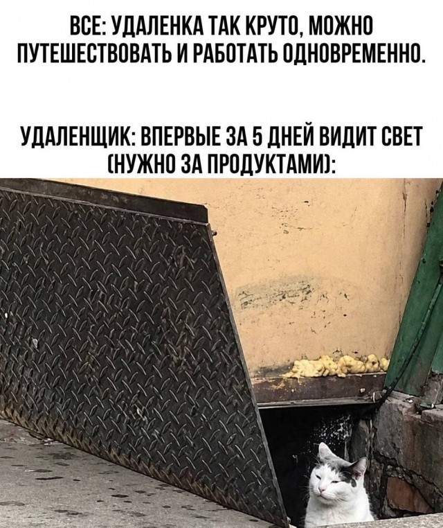 Так себе картинки 25.08.26