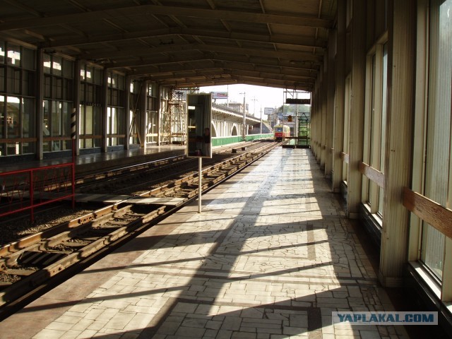 Волгоград 2011