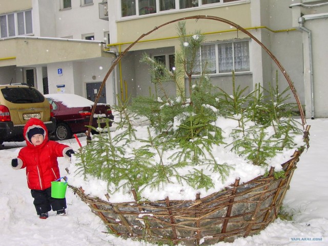 А у нас за окном...