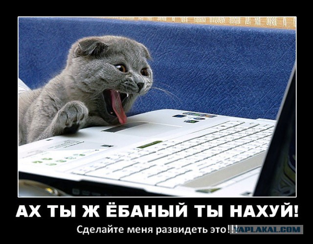 Смешные люди из социальных сетей