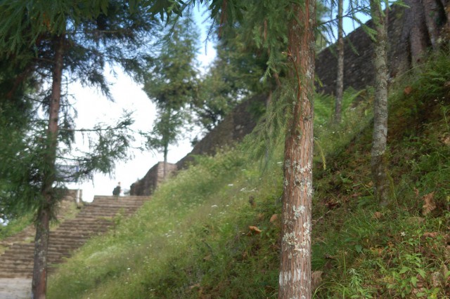 Тибет
