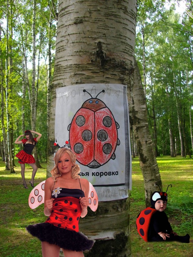Божая коровка