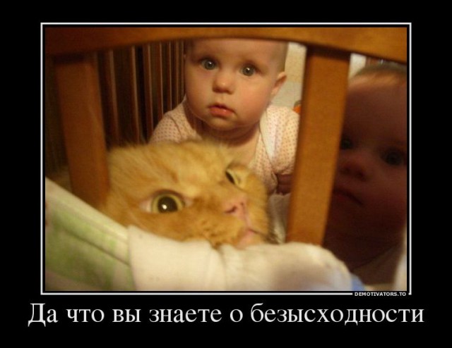 Весёлые картинки