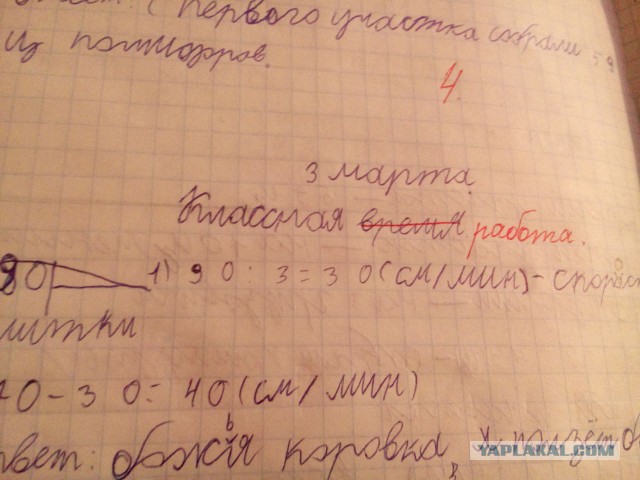 Дочка решила задачу - ответ убил