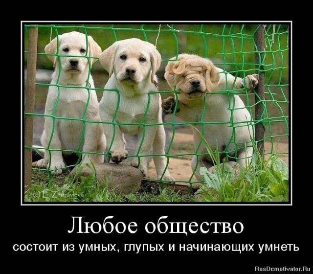 Вы хотите "демов"? часть 2-я