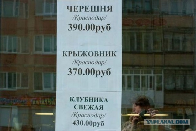 Импортозамещение: новые цены 2015 в Магадане