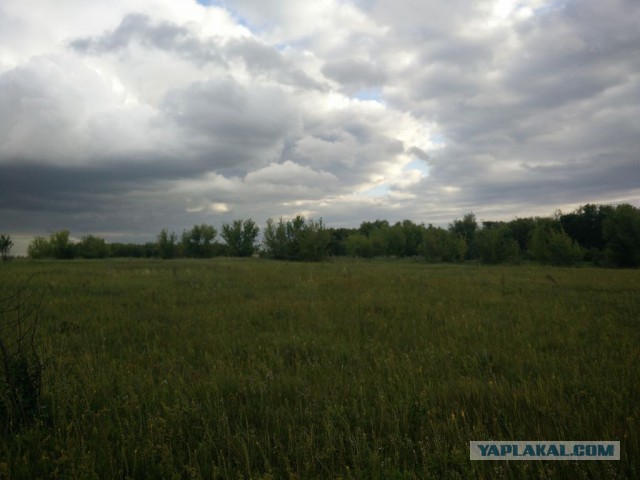 Я узнал, что у меня есть огромная семья