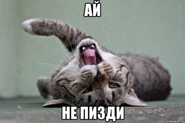 Это суровее, чем правда про Деда Мороза.