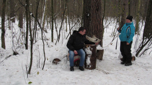 Снег. Лес. Волки. Фотоаппарат.