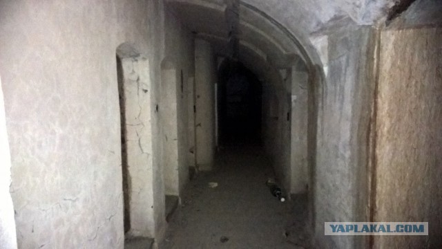Каникулы во Владивостоке
