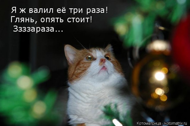 Подборка интересных и веселых картинок