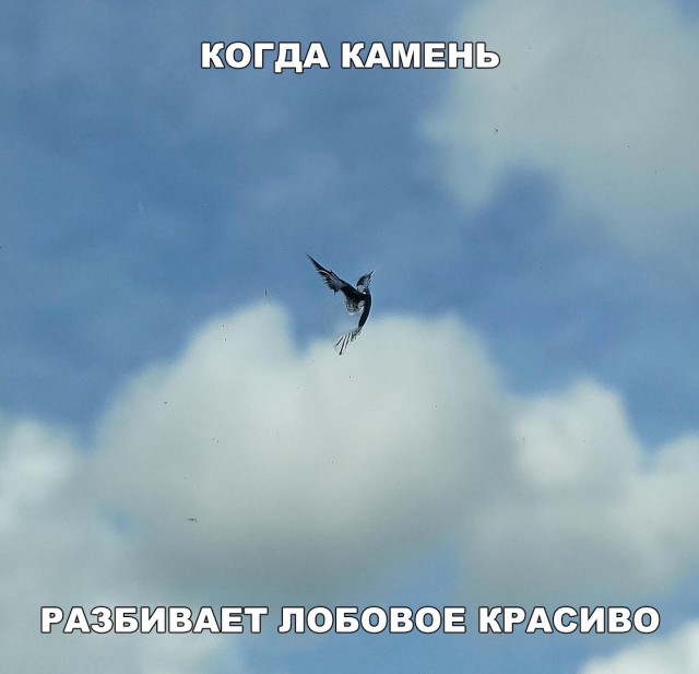 Нестандартный юмор