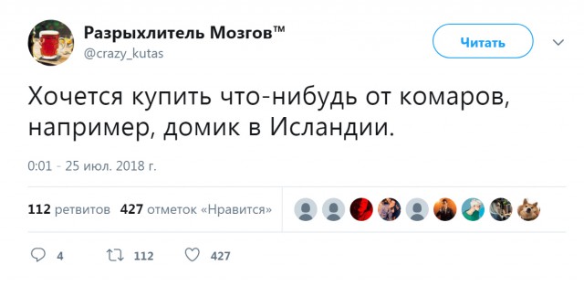 Немного картинок в этот четверг