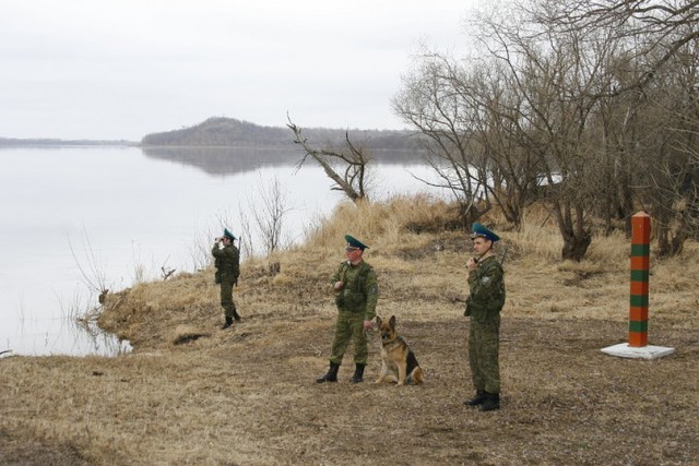 Уссурийский змей