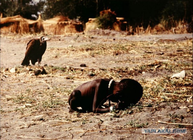 Фотографии, поразившие мир