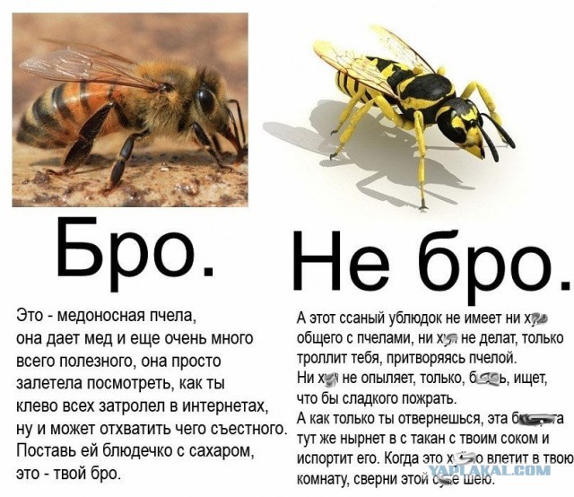 Деревенская Америка - 5