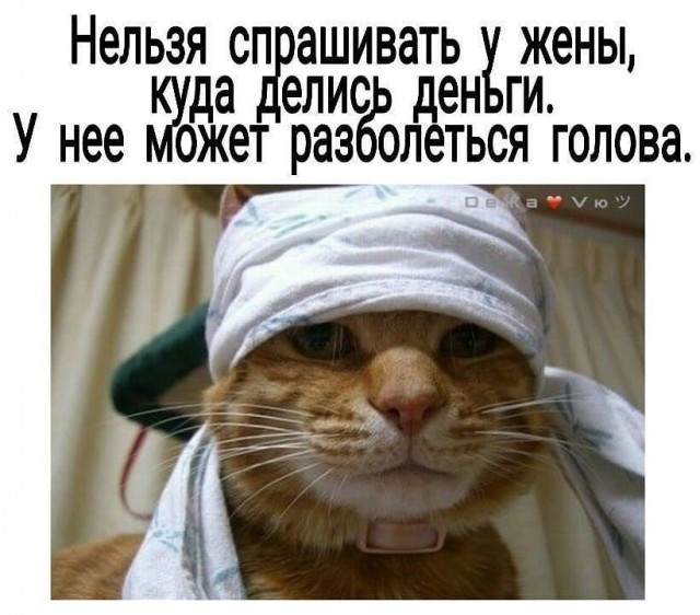 Картинки всякие