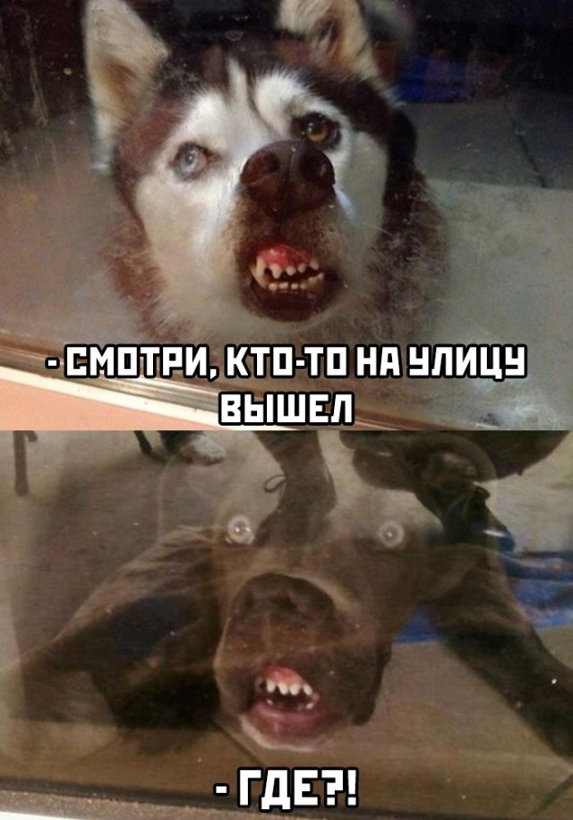 Удивительные снимки с российских просторов 01.04.20