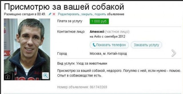 Выгуливавшего собаку москвича забрали в полицию без пса