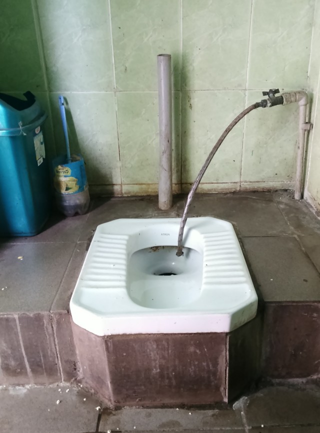 Туалеты мира