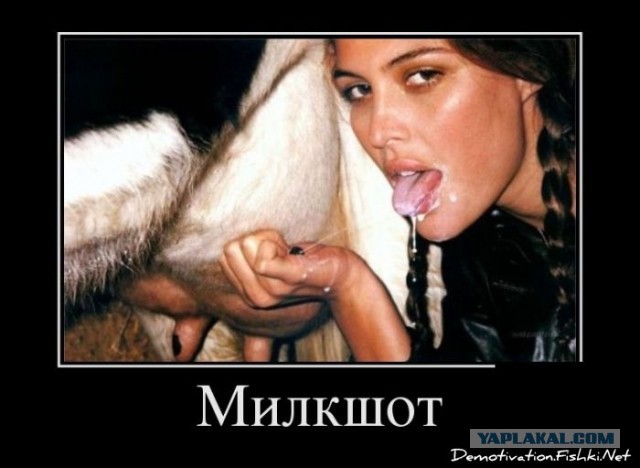 Немного слегка пошлых картинок с надписями 16+ (10.06)