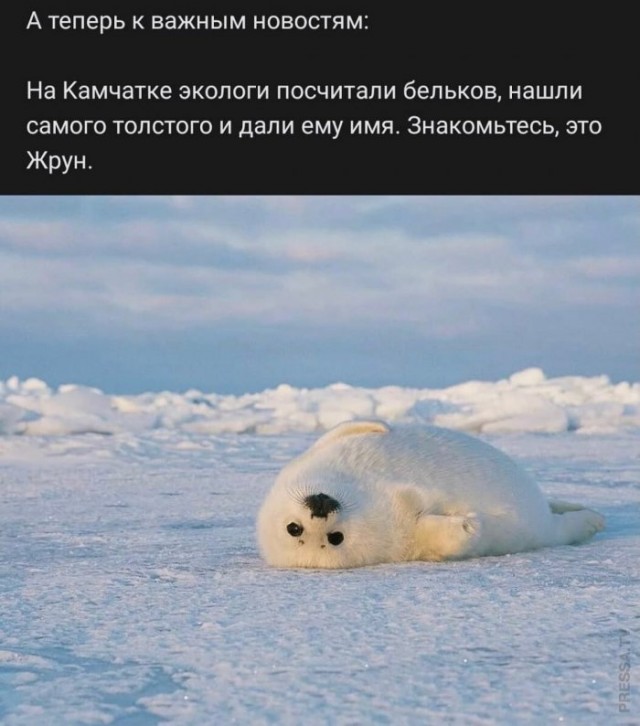 Немного картинок для настроения 11.11.20