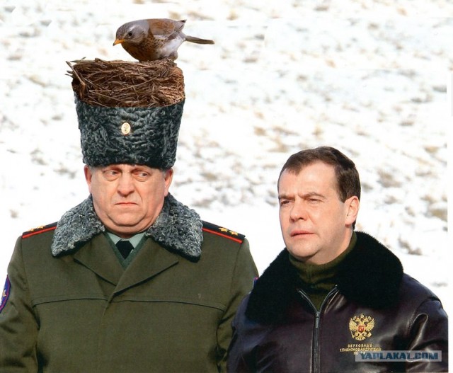 Бравые ребята