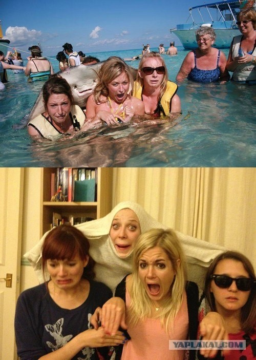 Изобразили